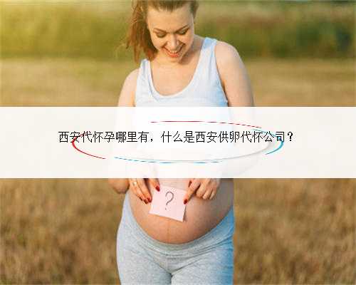西安代怀孕哪里有，什么是西安供卵代怀公司？