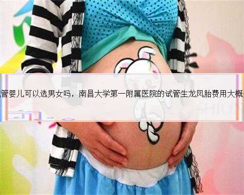南昌做试管婴儿可以选男女吗，南昌大学第一附属医院的试管生龙凤胎费用大概
