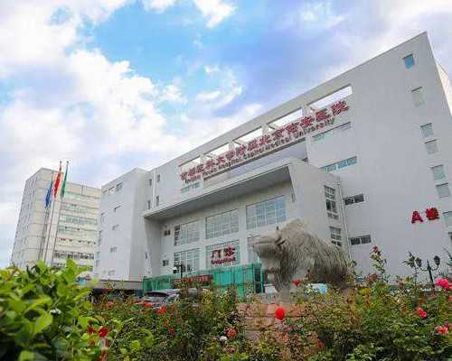 摆脱子宫内膜异位症困扰:食疗助你重获健康